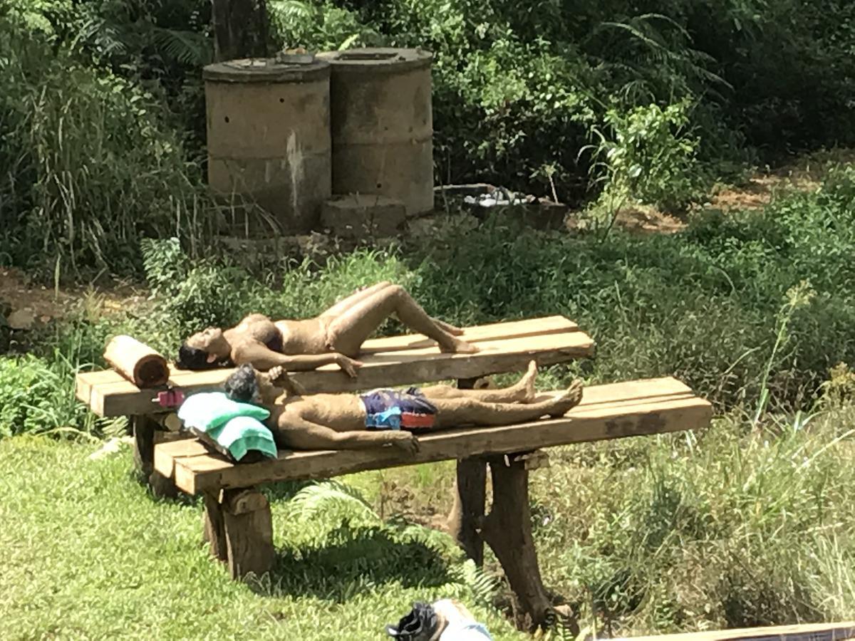 Sinharaja Forest Edge Deniyaya Εξωτερικό φωτογραφία