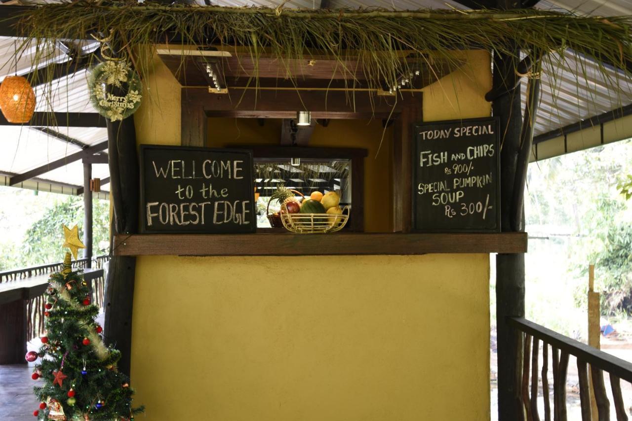 Sinharaja Forest Edge Deniyaya Εξωτερικό φωτογραφία